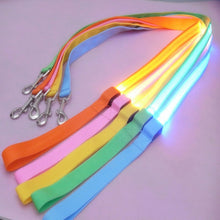 Load image into Gallery viewer, Glow In Dark Dog Leash Itdinos

