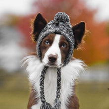 Load image into Gallery viewer, Warm Winter Pet Hat Itdinos
