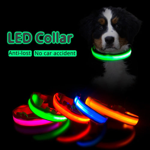 USB Charging Led Dog Collar Itdinos