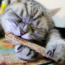 Load image into Gallery viewer, cat teeth cleaning natural pure catnip Itdinos

