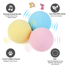 Load image into Gallery viewer, Interactive Ball Catnip Cat Training Toy Itdinos
