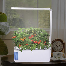 Lade das Bild in den Galerie-Viewer, Hydroponic Indoor Herb Garden Kit Smart Multi-Function Growing Led Lamp For Flower Vegetable Cultivation Plant Growth Light Itdinos
