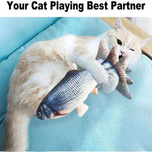 Load image into Gallery viewer, Interactive Electric floppy Fish Cat toy Itdinos
