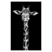 Lade das Bild in den Galerie-Viewer, Canvas Painting Wall Art Itdinos
