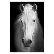 Lade das Bild in den Galerie-Viewer, Canvas Painting Animal Wall Art Itdinos
