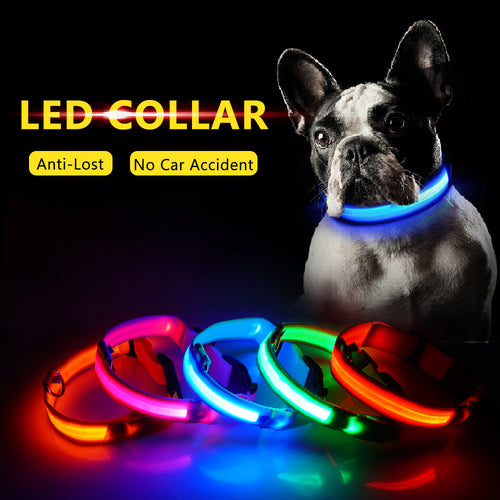 USB Charging Led Dog Collar Anti-Lost/Avoid Car Accident Collar Itdinos