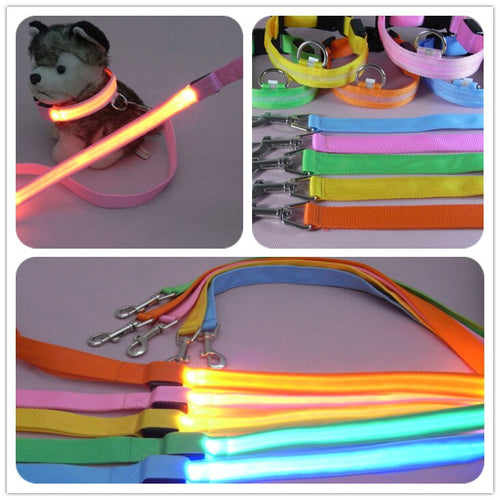 Glow In Dark Dog Leash Itdinos
