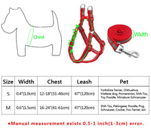 Load image into Gallery viewer, Dog Leash Set Itdinos
