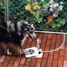 Load image into Gallery viewer, Outdoor Dog Cat Pet Drinking Water Fountain Doggie Dog Sprinkler Training Intellectual Tool Pet Water Drinking Machine Itdinos
