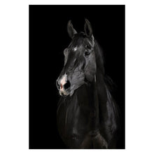 Lade das Bild in den Galerie-Viewer, Canvas Painting Animal Wall Art Itdinos
