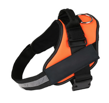 Load image into Gallery viewer, Dog Name Collar Vest Itdinos
