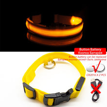 Load image into Gallery viewer, USB Charging Led Dog Collar Itdinos
